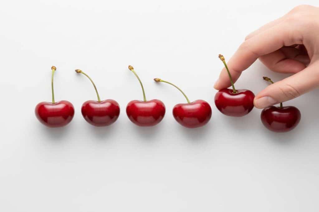 education program evaluation